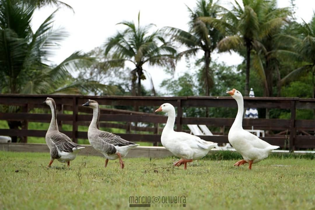 Fazenda Lagoa Azul Silva Jardim Eksteriør billede